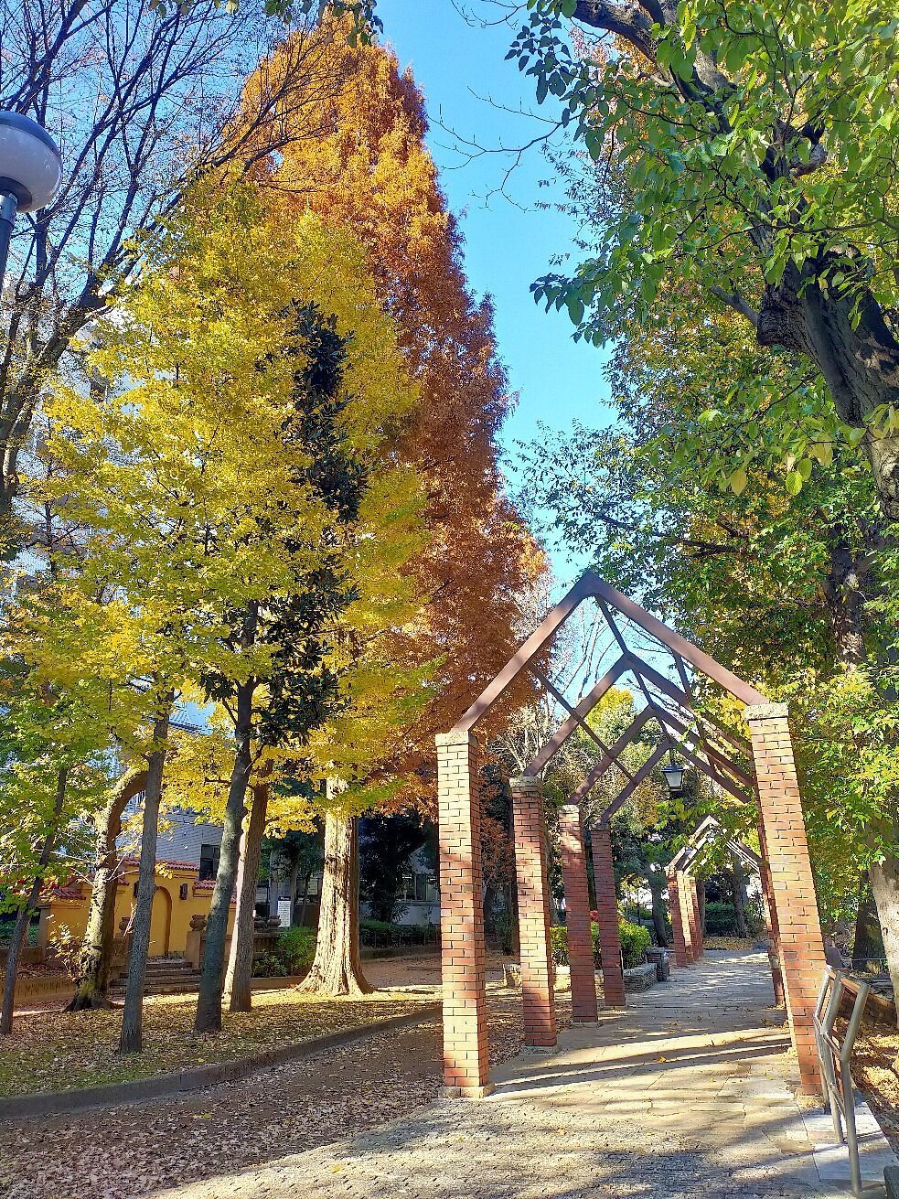 🌳 오츠카다이 공원(도시마쿠리쓰오쓰카다이코엔) 이미지 1